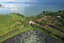 La réserve naturelle et culturelle de Dong Nai est l’un des plus vastes complexes forestiers protégés du pays. Photo : TNO.