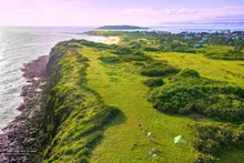 Le film « Toi thay hoa vang tren co xanh » a réveillé le tourisme de Phu Yen. Photo : laodong.