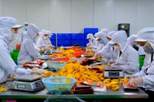 Transformation de fruits séchés. Photo : laodong.