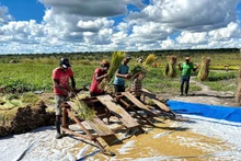 L'Angola s’attache à améliorer ses capacités de production nationale, notamment dans l’agriculture et les biens de consommation. Photo : cafebiz.