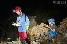 Des experts de NSS effectuent des études dans les grottes du Géoparc mondial UNESCO de Lang Son.