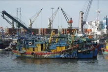 Des navires de pêche au port de Quang Ngai. Photo : VNA.