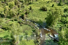 Le Vietnam renforcera également la coopération régionale et internationale à travers des échanges réguliers avec l’Union européenne et ses États membres sur l’évaluation des risques, les procédures et les indicateurs de suivi, l’établissement d’un dialogue avec le Centre commun de recherche (JRC) de l’UE afin d’harmoniser les données cartographiques forestières. Photo d'illustration : VNA.