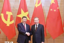 Le secrétaire général du Parti communiste du Vietnam, Tô Lâm (à droite), et le secrétaire général du Parti communiste chinois et président chinois, Xi Jinping, se serrent la main. Photo : VNA.