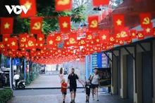 Ho Chi Minh-Ville se pare de couleurs pour le XIVe Congrès du Parti et le printemps