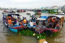 Au fil du marché flottant, admirer l’aube de Tay Do