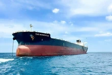 Le navire Momentum de fret de 110 000 tonnes.