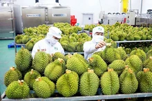 Les exportations de fruits et légumes ciblent 8 milliards de dolars en 2025. Photo : Vneconomy.