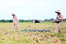 Dépollution des terres contaminées par la dioxine. Photo: VNA