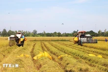 Des politiques de rupture, mises en œuvre avec célérité, nourrissent de fortes attentes de la population quant à une amélioration de la qualité de vie. Photo : VNA