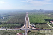 Une route de ceinture de plus de 1 300 milliards de dongs traversant une forêt d’hévéas