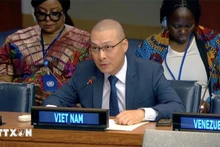 Le ministre-conseiller Nguyên Hoang Nguyên, chargé d’affaires par intérim de la Mission permanente du pays auprès de l’ONU. Photo: VNA.