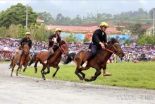 Course hippique lors de la finale du Tournoi élargi de courses de chevaux traditionnelles de Bắc Hà (Lào Cai). Photo : VNA.