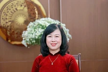 La ministre de la Santé Dao Hong Lan. Photo : VNA.