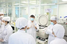 Des experts travaillent au laboratoire de cellules souches de l'Université des sciences, rattachée à l'Université nationale du Vietnam, à Hô Chi Minh-Ville. (Photo : sggp.org.vn)