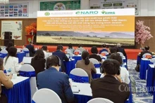 Japon-Vietnam : renforcement de la coopération pour développer la riziculture à faibles émissions