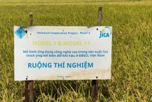 Les avantages de la production rizicole améliorée sans labour