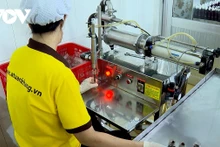 Vinh Long en tête du pays pour les produits industriels ruraux typiques