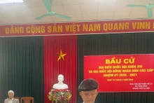Les images émouvantes des électeurs âgés se rendant aux urnes avec leurs cannes à Yen Lang, Hanoi