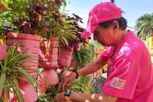 Chaque jour, dès 3 heures du matin, M. Phan Văn Chanh commence à arroser et à prendre soin de sa rangée de plantes vertes Photo : Thuy Duong.