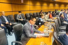L’ambassadeur Vu Lê Thai Hoàng, chef de la Mission permanente du Vietnam auprès de l’ONU et des organisations internationales à Vienne lors de la 65e session de la Commission préparatoire de l’Organisation du Traité d’interdiction complète des essais nucléaires (CTBTO). Photo: VNA