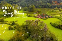 Thung Nham – Le royaume des oiseaux au cœur du site de Trang An
