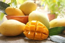 Les mangues vietnamiennes franchissent le seuil du marché américain