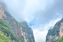 L’immensité du vert éclatant de Nho Que