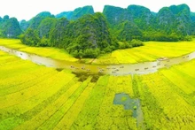 Trente-trois pays et territoires au VIIIe Congrès asiatique de l’agriculture biologique