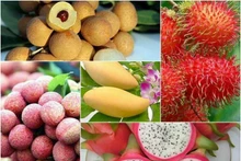 Booster la consommation et l’exportation de produits agricoles