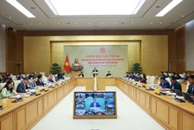 Panorama de la réunion. Photo: VNA