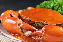 Ca Mau vise à devenir le plus grand centre d’élevage de crabes du delta du Mékong et du pays