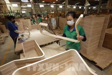La transparence de l'origine du bois constitue également une exigence clé pour que le Vietnam puisse obtenir la licence FLEGT. Photo: VNA.