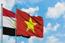 Relations d’amitié traditionnelle entre le Vietnam et l’Égypte