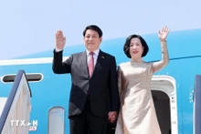 Le président Luong Cuong arrive au Caire, entamant une visite d’État en Égypte