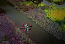 Éclatante Tam Coc à la fin du mois d’octobre