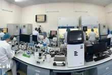 Laboratoire de biotechnologie de l'Université internationale relevant de l'Université nationale à Hô Chi Minh-Ville. Photo : VNA