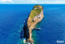 Gros plan sur l’île souveraine du Vietnam, ayant la forme d’une baleine géante au milieu de l’océan