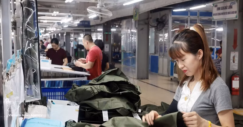 Après près de six ans de mise en œuvre, l'Accord de libre-échange entre le Vietnam et l'Union européenne (EVFTA) s'affirme comme un levier majeur des exportations vietnamiennes vers le marché européen. Photo: VNA 