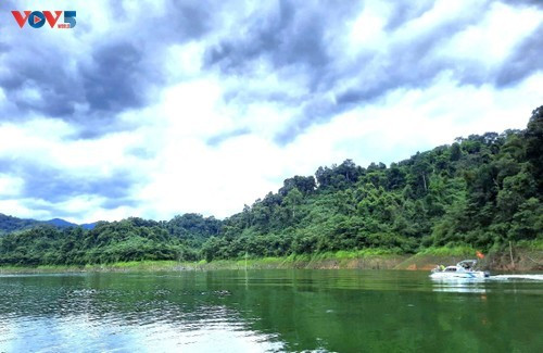 Parc national de Vu Quang, la "Perle verte" de Hà Tinh. Photo: VOV 