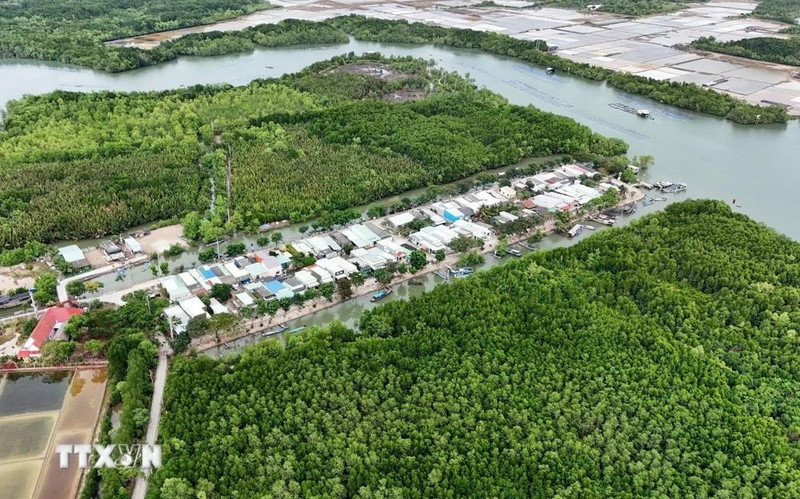 Zone résidentielle concentrée au milieu de l'écosystème de mangrove sur le hameau de l'île de Thieng Lieng. Photo : VNA. 