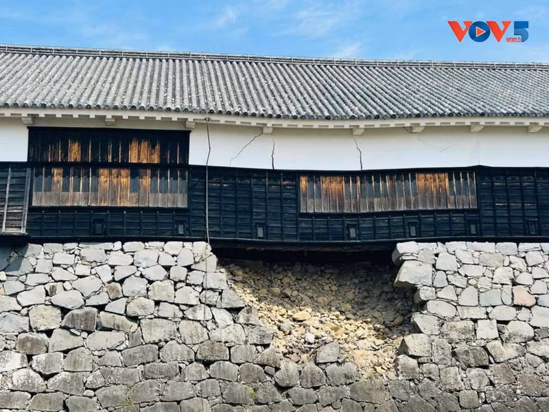 Le séisme de 2016 a causé d'importants dégâts au château de Kumamoto, et les réparations ne sont pas encore terminées. Photo: VOV-Tokyo 