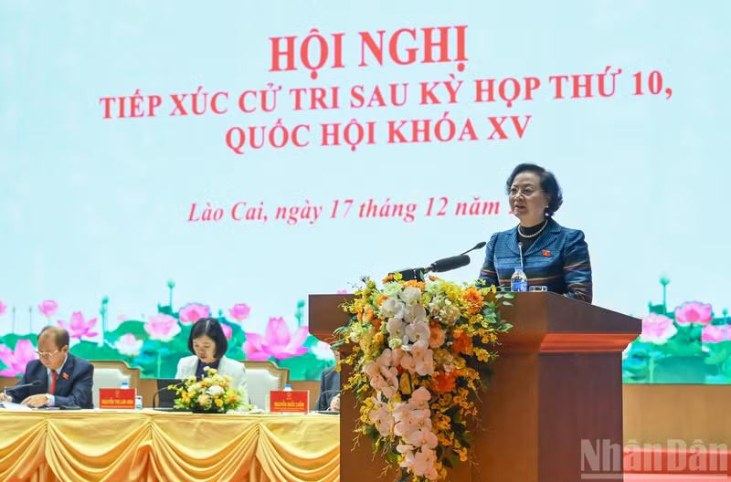 La vice-Première ministre Pham Thi Thanh Tra prend la parole lors de la rencontre. Photo : Duy Linh/NDEL