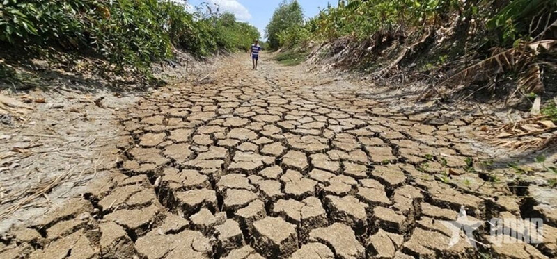Un canal à Long An (Sud) à sec en raison d'une sécheresse prolongée et de la salinité en 2024. Photo : qdnd.vn
