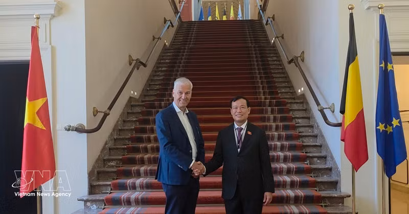 Le président de la Commission de la défense, de la sécurité et des relations extérieures de l'Assemblée nationale, Le Tan Toi, rend une visite de courtoisie au premier vice-président du Sénat de Belgique, Andries Gryffroy. Photo : VNA 