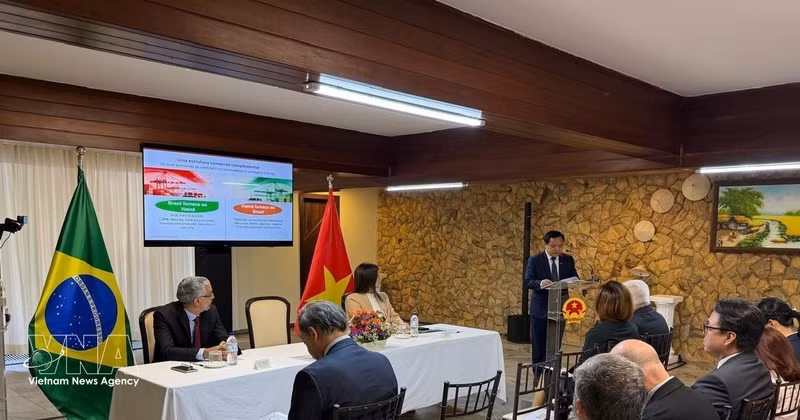 L'ambassadeur du Vietnam au Brésil, Bui Van Nghi, prend la parole lors du séminaire. Photo : VNA 