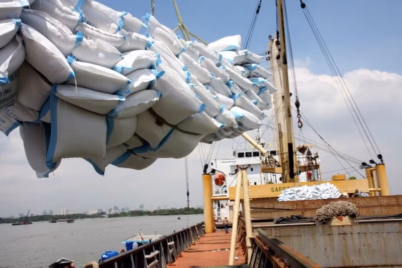 Au 15 octobre, les exportations de riz du Vietnam ont atteint plus de 7 millions de tonnes, pour une valeur de 3,588 milliards de dollars. Photo : VNA