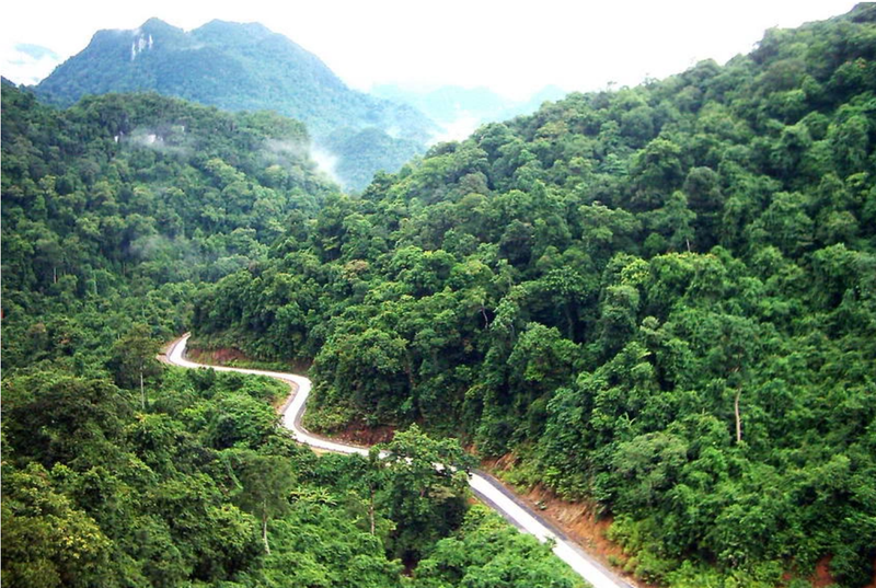 La partie centrale de la chaîne de montagnes de Truong Son (allant de la province de Ha Tinh jusqu’à celle de Da Nang) est une zone d’importance écologique.