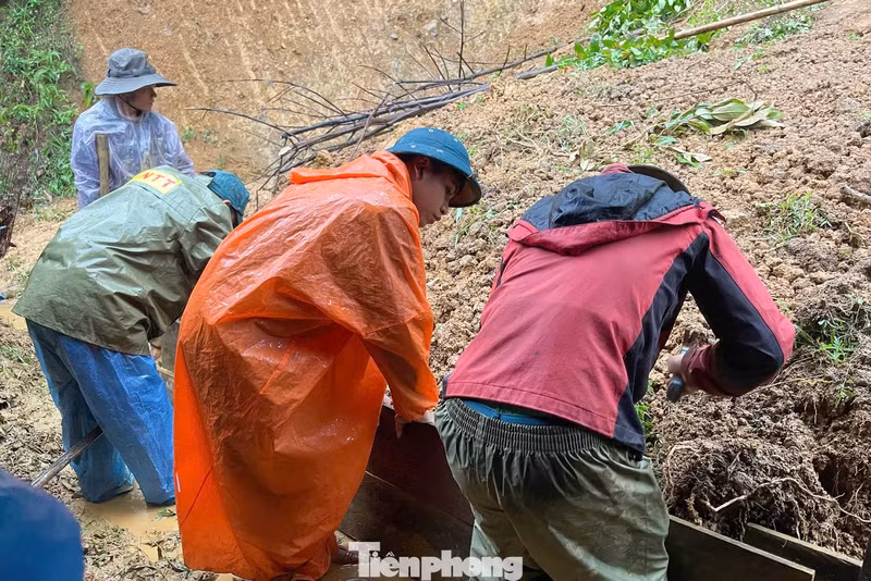 Les jeunes de Da Nang ont bien suivi les enseignements de l'Oncle Hô : « Là où le pays a besoin, il y a des jeunes. Là où il y a des difficultés, les jeunes se présentent ». Photo : tienphong.vn