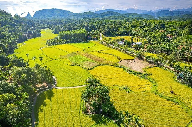Maisons traditionnelles entre montagne et rizières à Lôc yên. Photo: VOV 